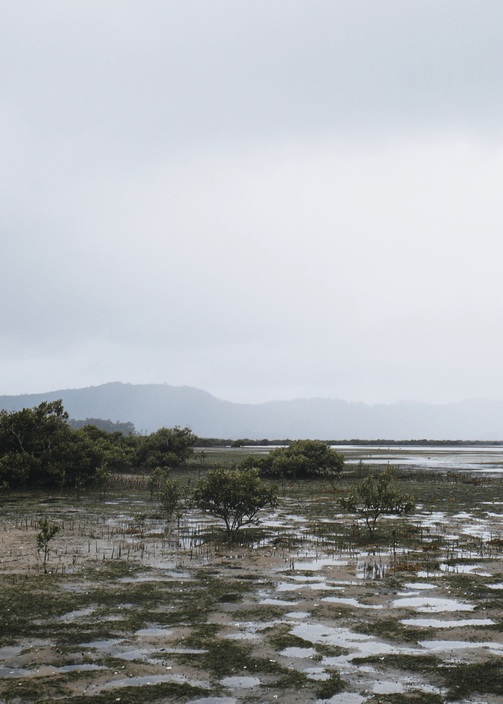 Human impacts on coastal&nbsp;ecosystems